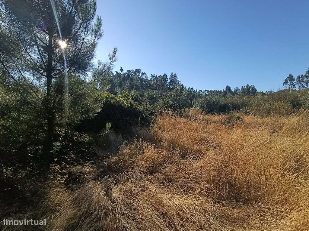 Terreno Rústico - Grande imagem: 4/6