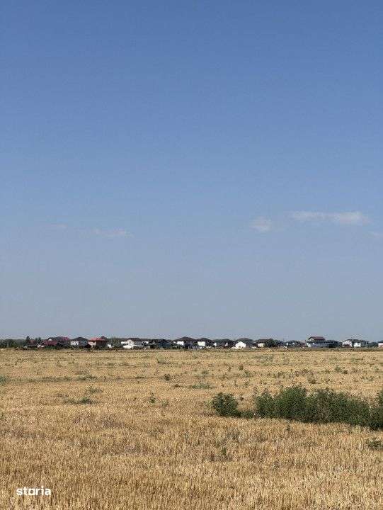 Teren 10.000 mp – Dragomiresti Vale, Ilfov - Imagine principală: 5/5