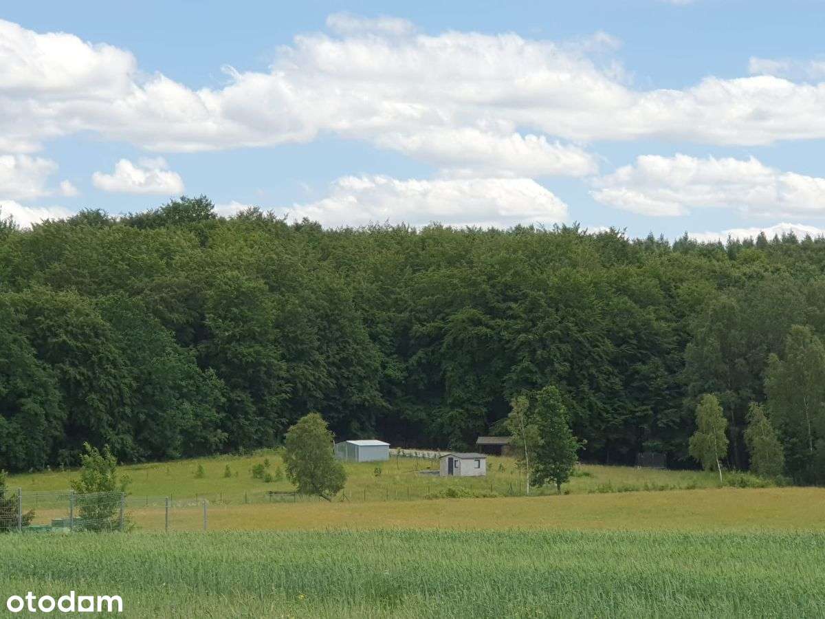 Piękna działka z "oczkiem", w sąsiedztwie zabudowa-16