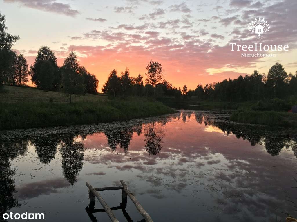 Działki z jeziorkiem – Siedliska k. Pasym Mazury - Pełny obrazek: 4/19