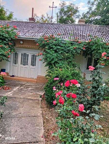 Casa de vanzare cu teren 3000 mp - Imagine principală: 5/7