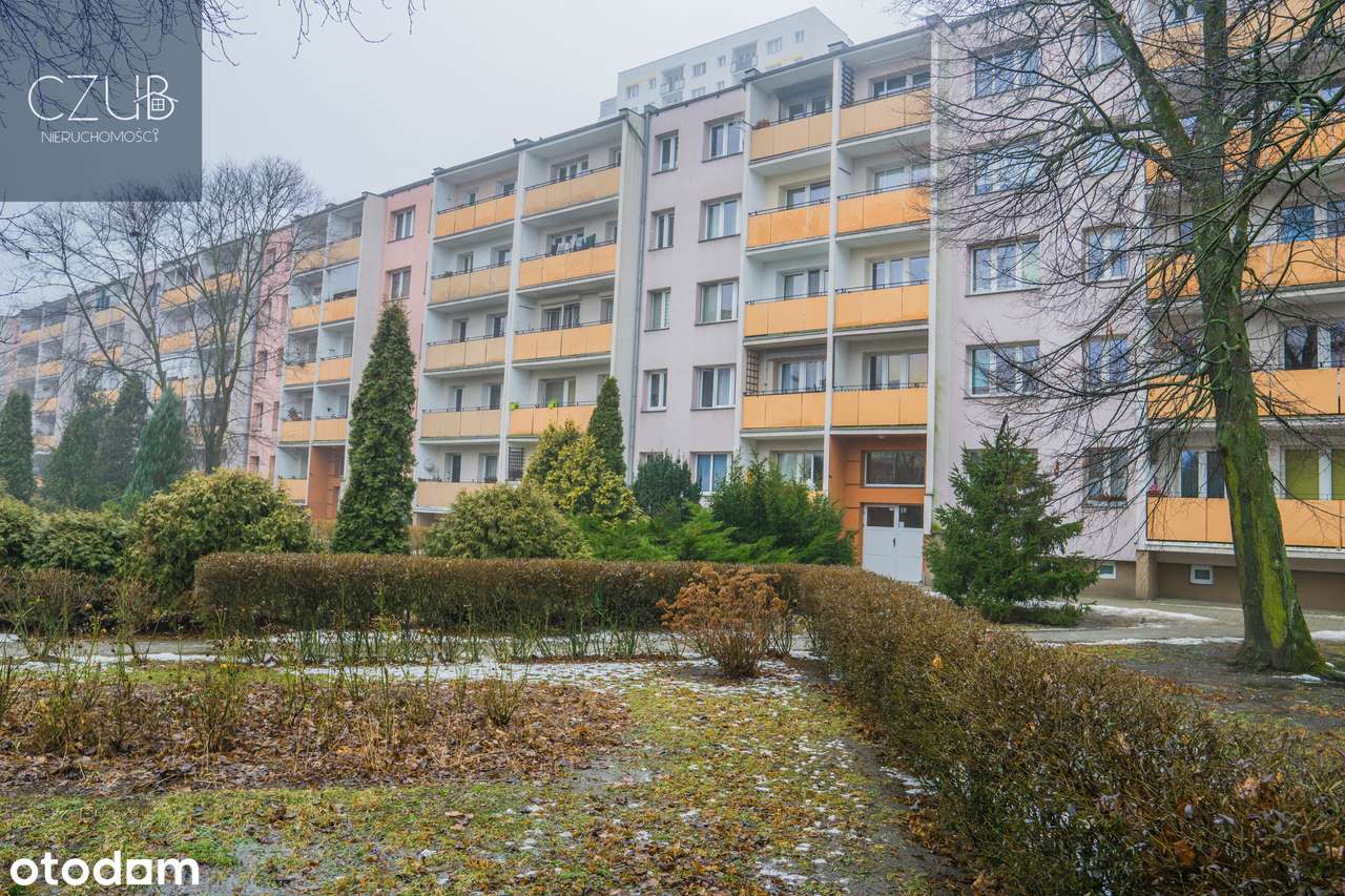 Blisko R. Starołęka / wysoki parter / balkon / wolne od zaraz-10