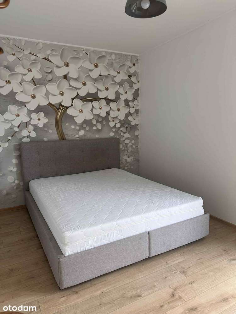 Wynajmę dom z 2 mieszkaniami Słubice - Pełny obrazek: 5/16