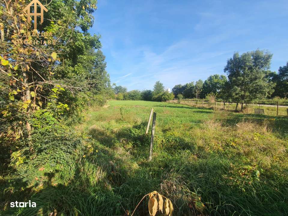 De Vanzare Casa Mare cu Teren Generos in Buzias - Imagine principală: 5/15