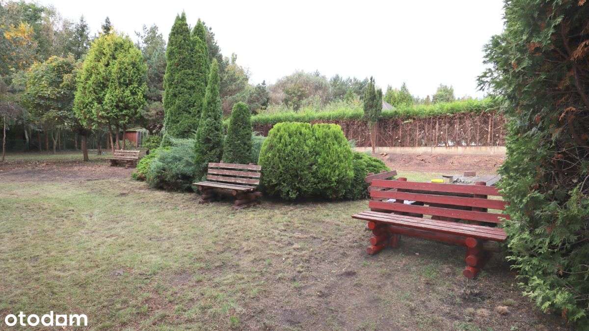 Wolnostojący dom z dużą działką - Pełny obrazek: 4/9