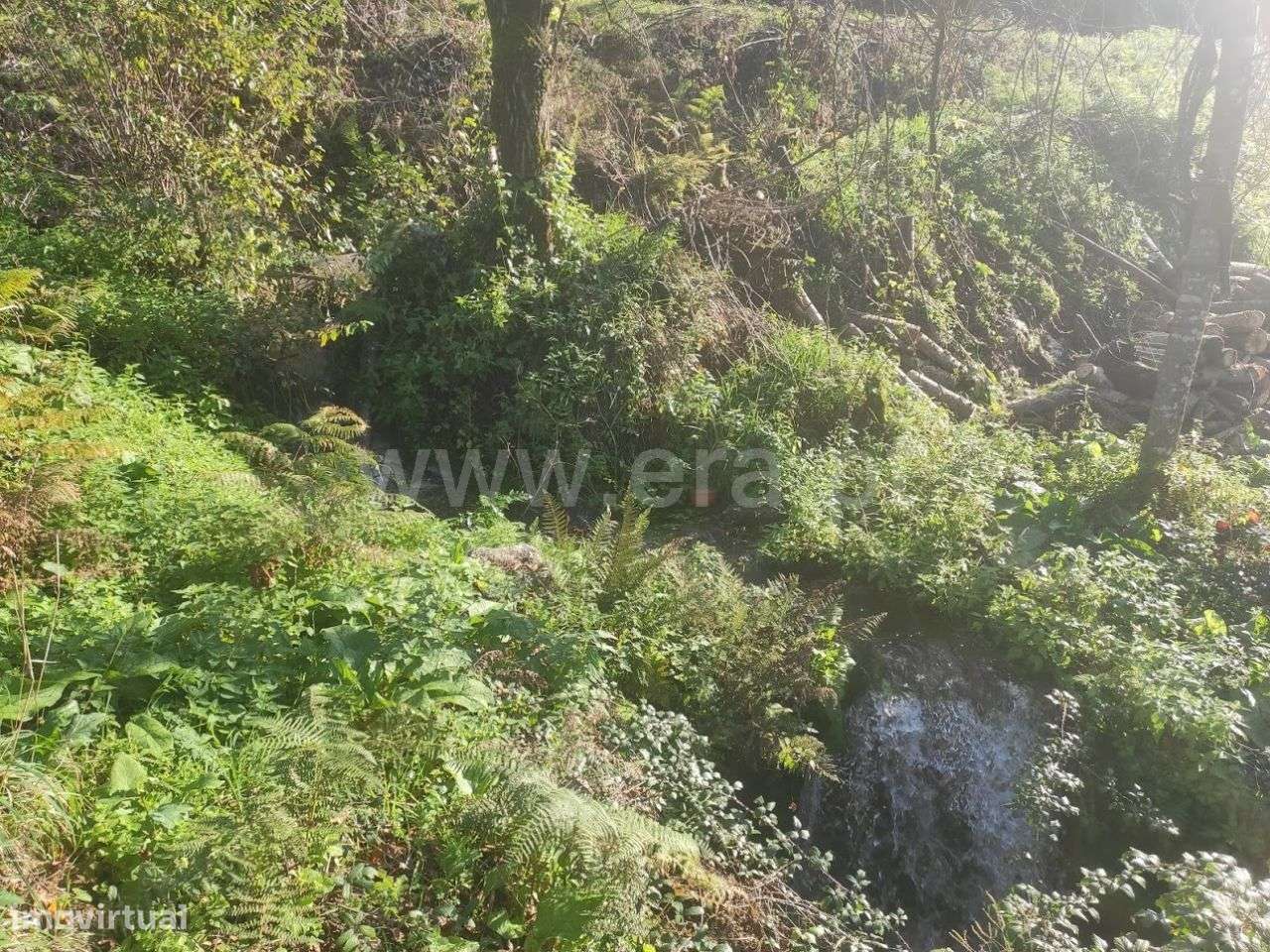 Terreno em Fornelos - Grande imagem: 3/9