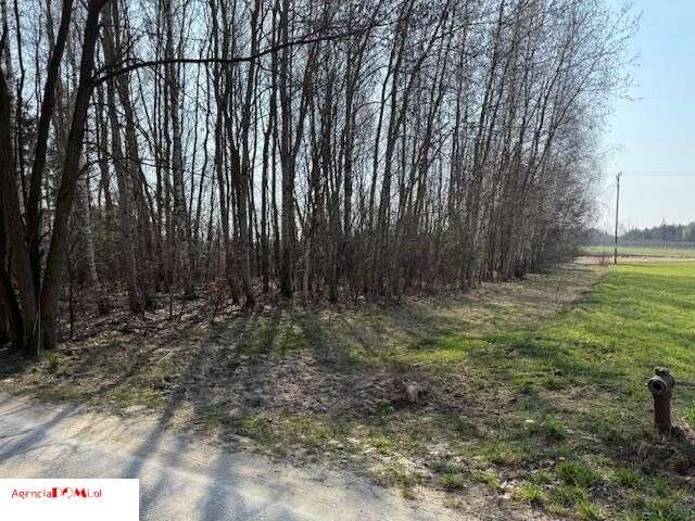 Działka 2,5ha pod zabudowę bliźniaczą,Tarczyn-5km
