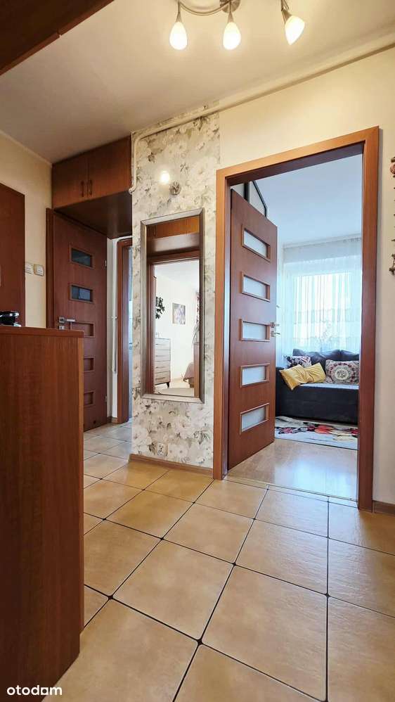 3 pokoje Wielka Płyta - Pełny obrazek: 4/11