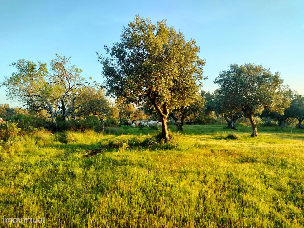 Moradia para Recuperar em Pernes - Grande imagem: 5/8