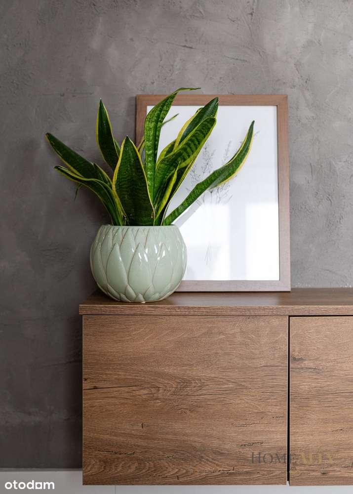 Aluzyjna, 3 pok., 61m2, gotowe do wprowadzenia-4