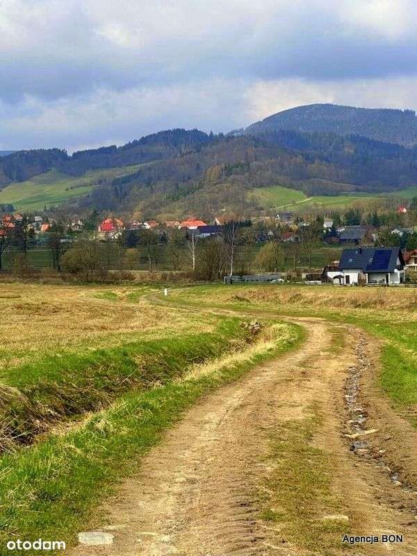 Działka w górach, okolice Karpacza-2