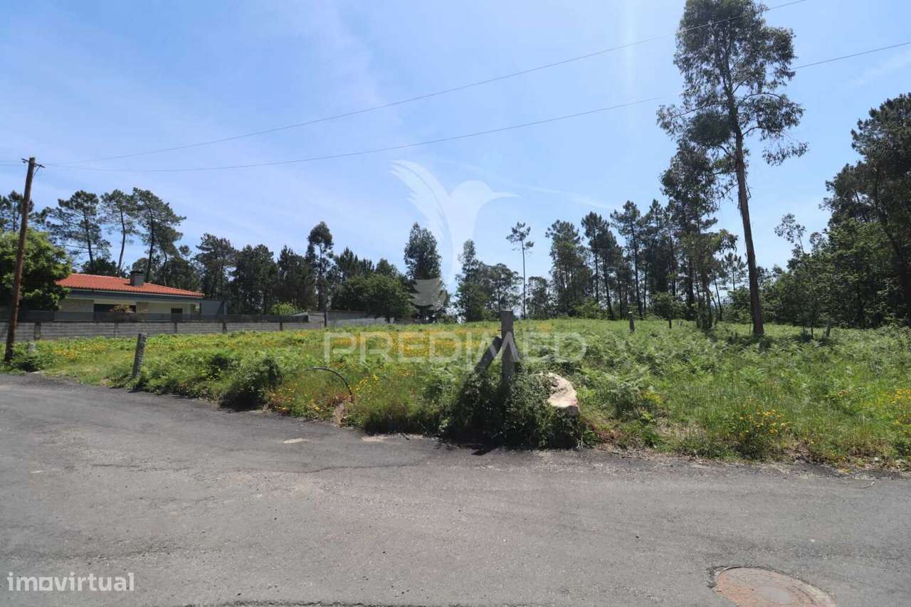 Aqui nasce o seu lar - Grande imagem: 5/17