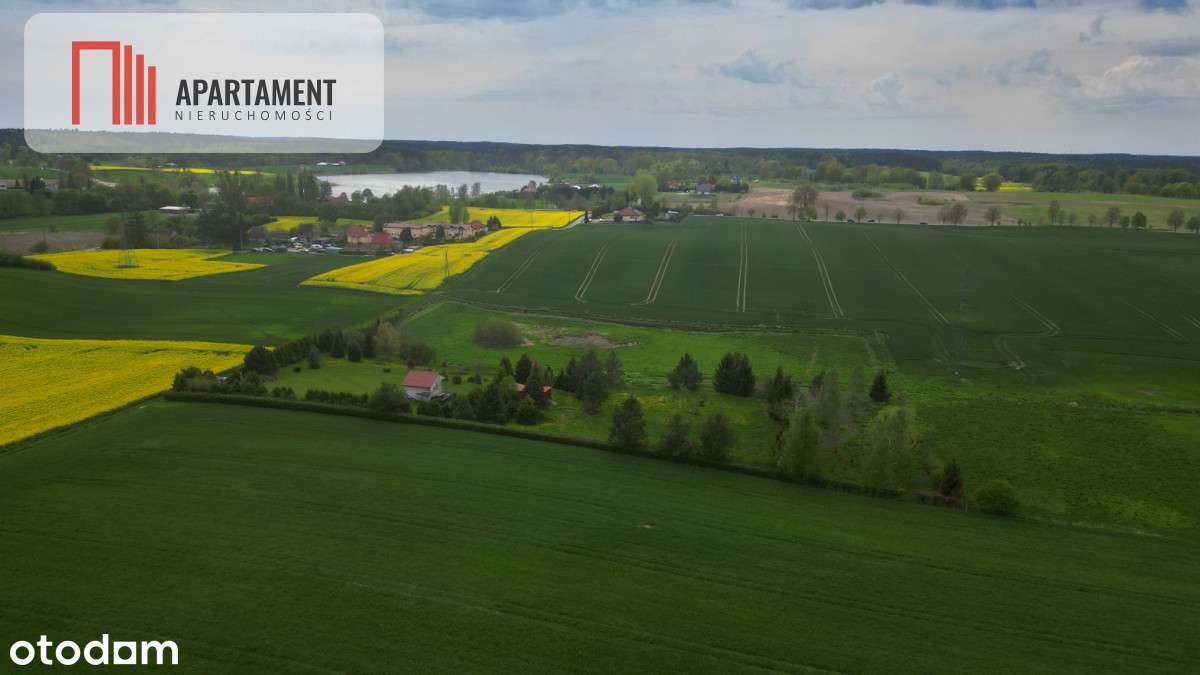 działka z warunkami zabudowy 1,4 ha - Pełny obrazek: 5/7