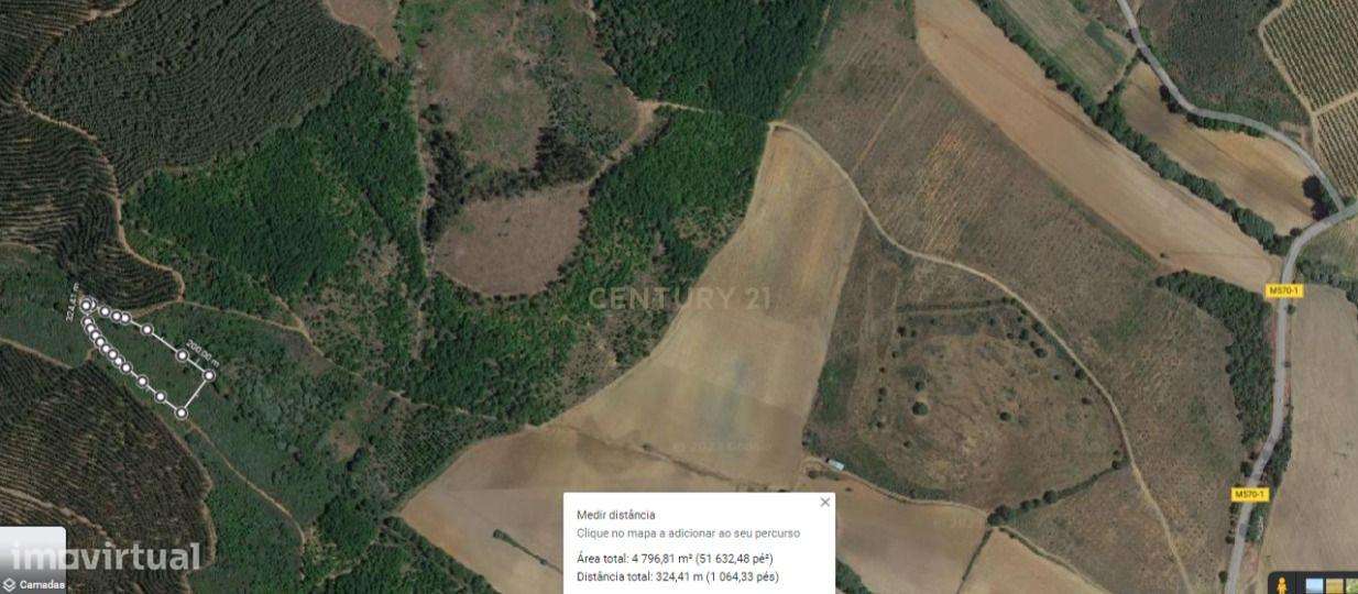 Terreno Agrícola 12Ha em Capinha, Fundão - Grande imagem: 5/9