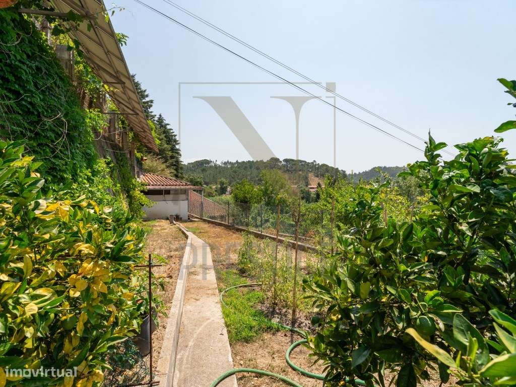 Moradia T3 + 1 em Eiras-34