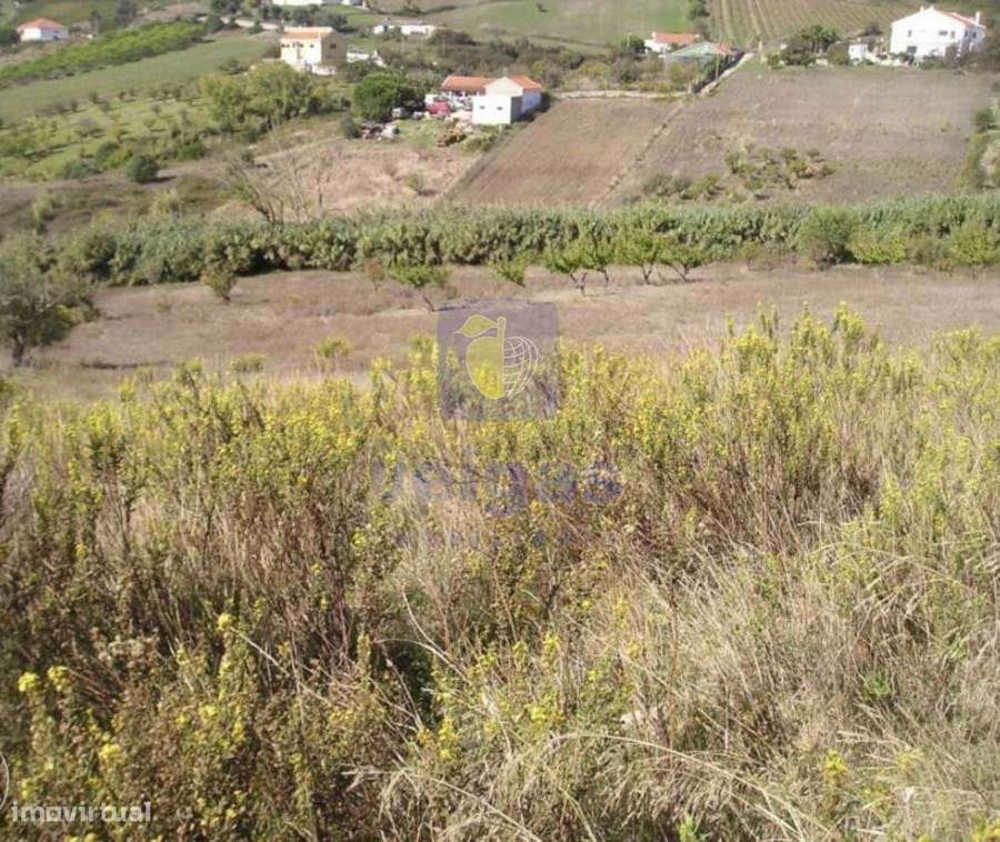 Terreno São João dos Montes - Grande imagem: 5/6