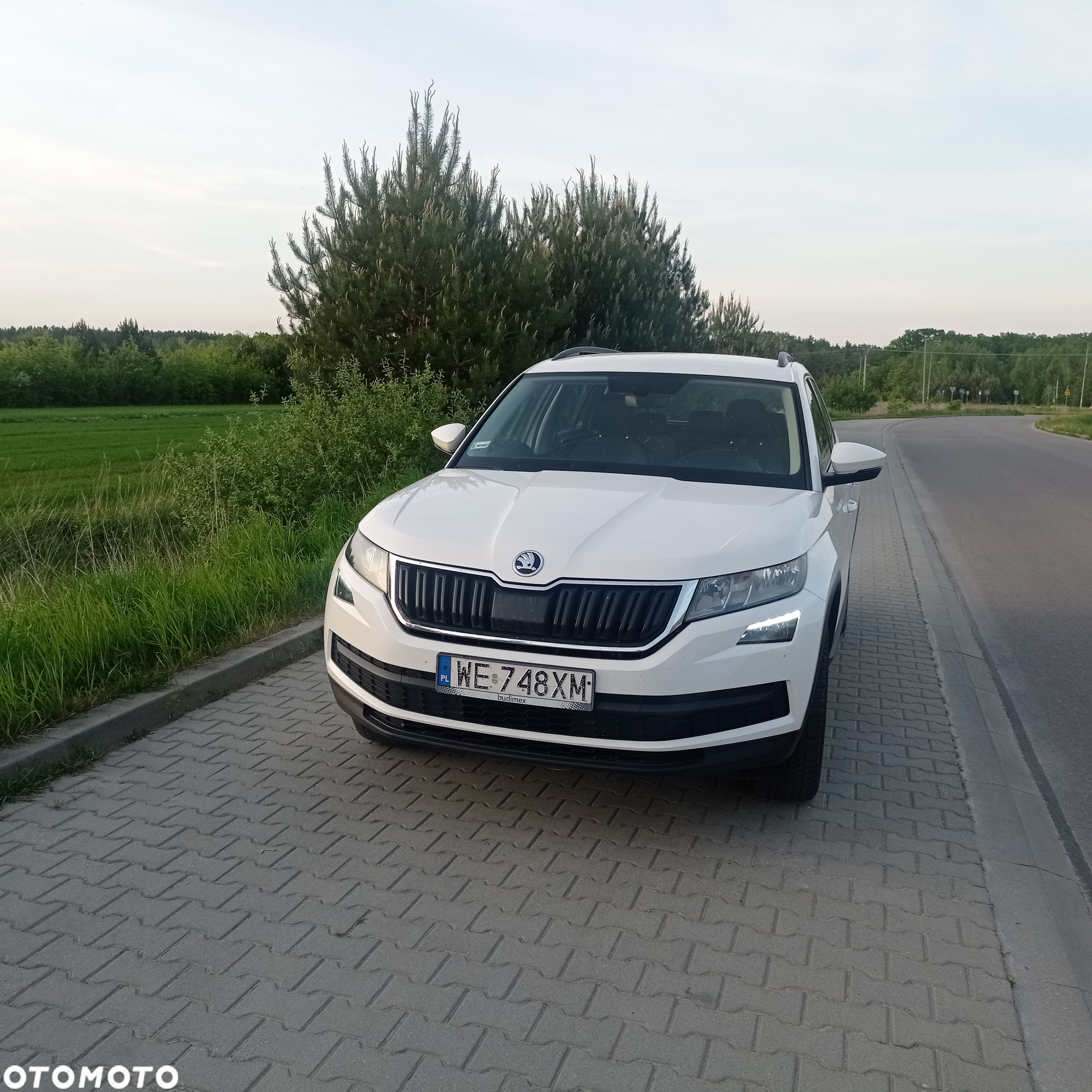 Skoda Kodiaq 2.0 TSI 4x4 Business DSG - 3