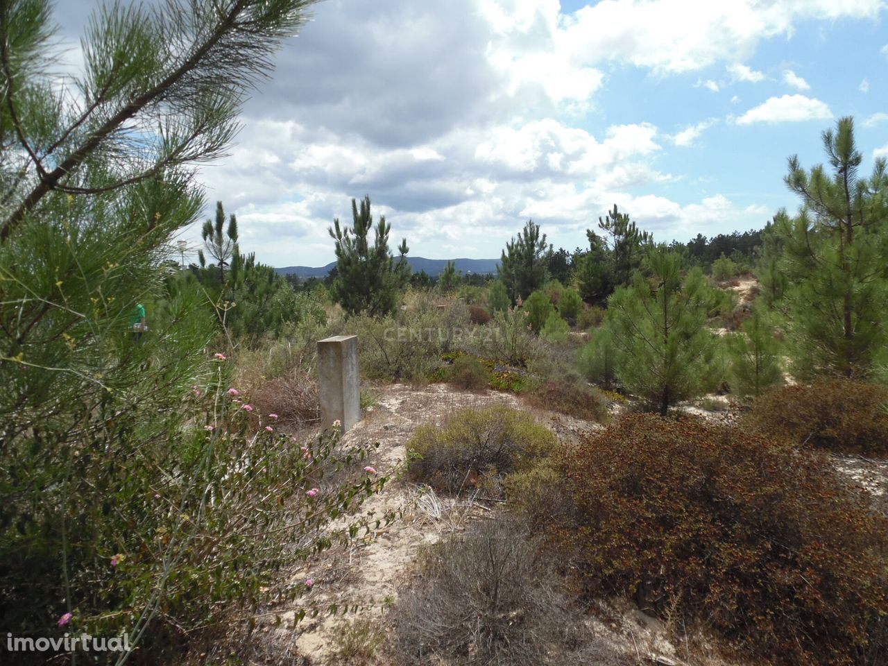 Magnifico Lote Terreno Urbano Quinta do Conde