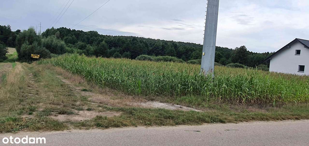 Działka rolno- budowlana - Pełny obrazek: 4/7