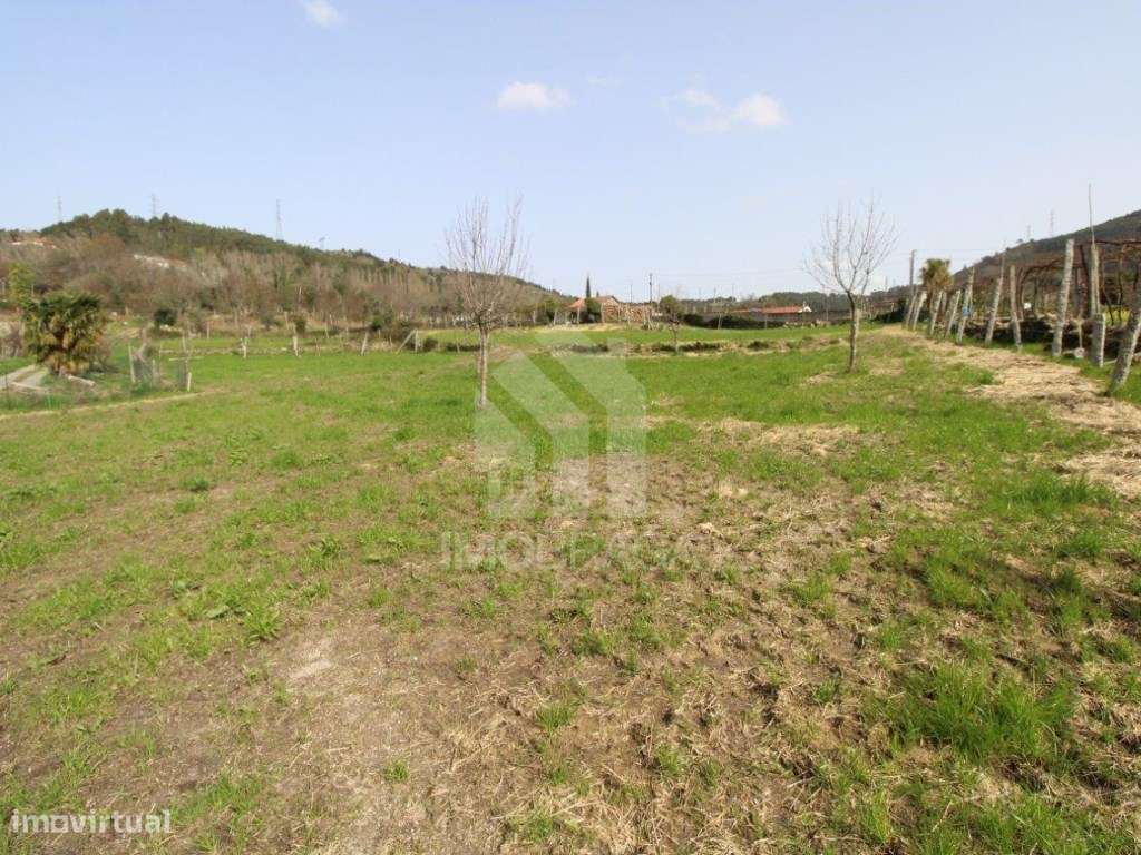 Venda Terreno com possibilidade de Lotear, em S. Mamede (Este), Braga-7