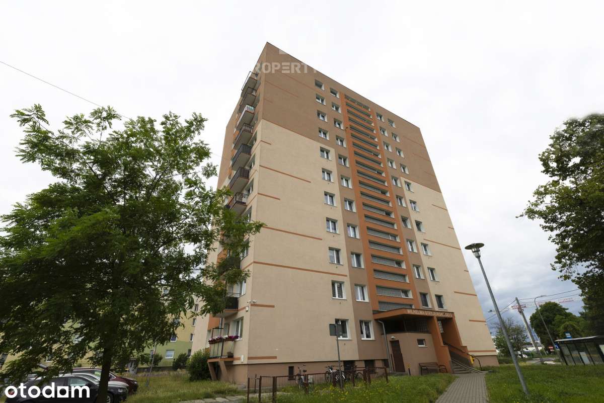 Z ogromnym potencjałem z widokiem na Martwą Wisłę!-10