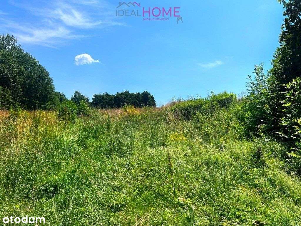 Szkodna kompleks działek na sprzedaż - Pełny obrazek: 4/20