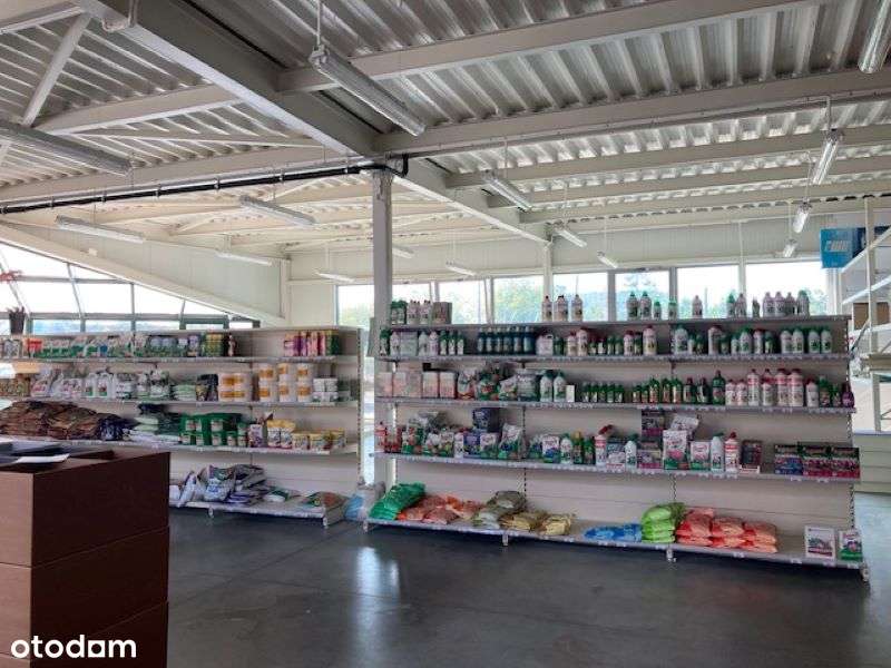 Wynajem lub Sprzedaż Hala Magazyn Biuro - Pełny obrazek: 4/8