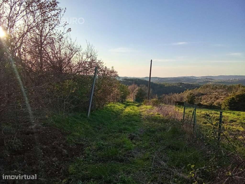 Terreno rústico em Vale Serrão, Pereiro de Palhacana, Alenquer-9