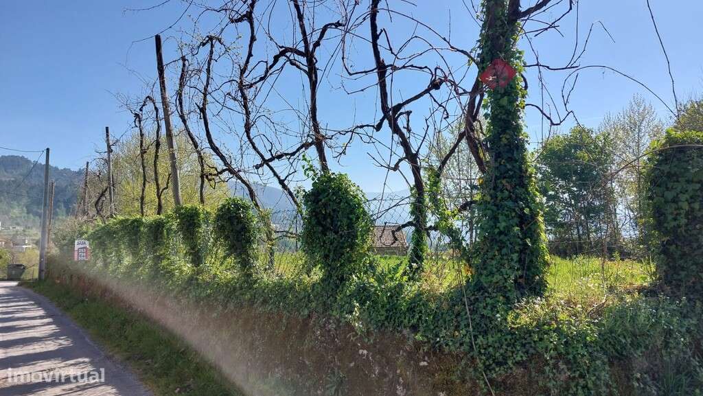 Duas moradias em pedra p/ restauro e terreno - Eira Vedra-15