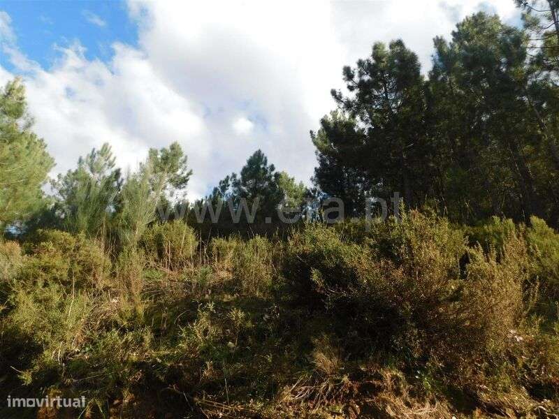 Terreno / Fundão, Souto da Casa - Grande imagem: 5/8