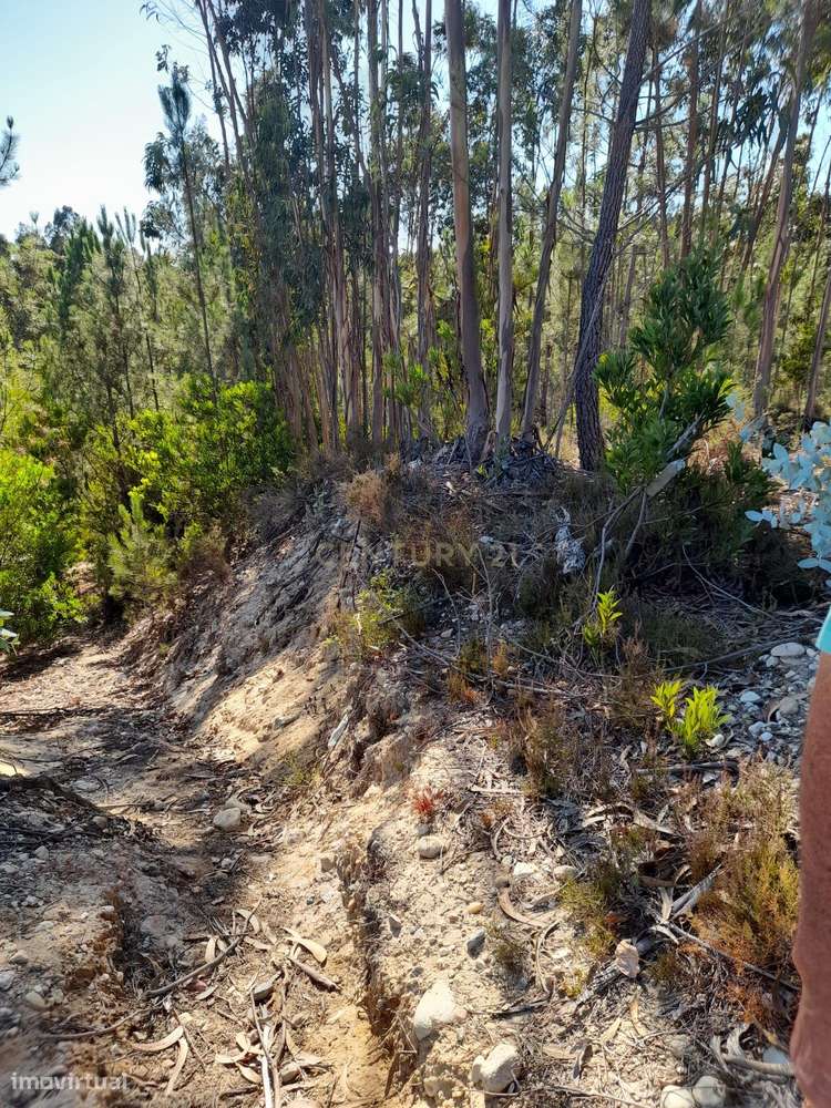 Terreno para venda Zona Industrial Barosa em Leiria - Grande imagem: 2/4