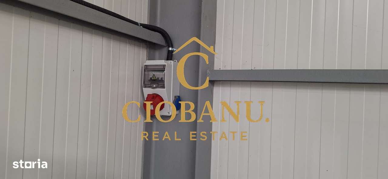 Hala de vanzare in Racarii de Jos-10