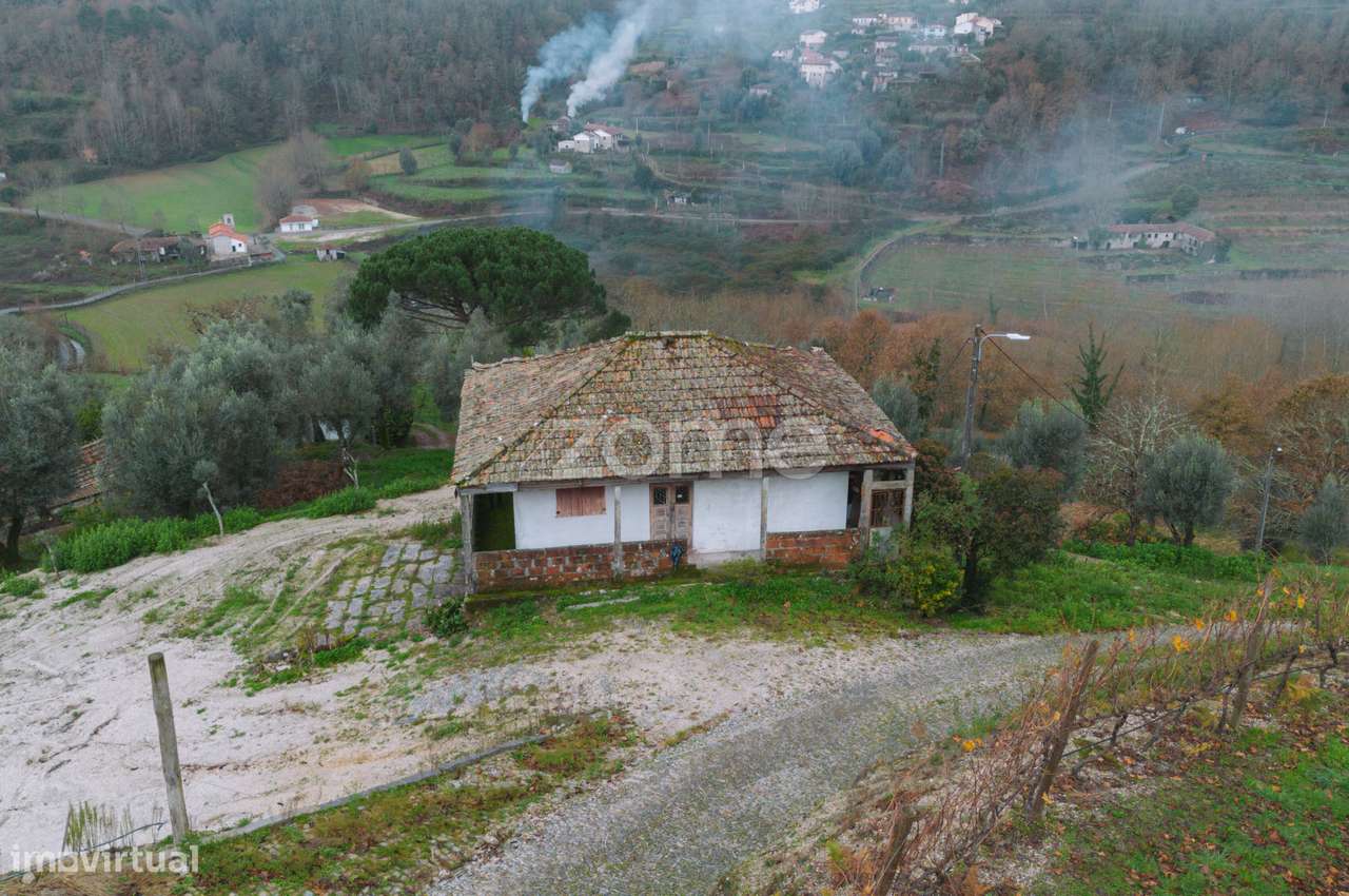 Quinta com vinha e árvores de fruto | Projeto ideal para turismo ru... - Grande imagem: 3/32