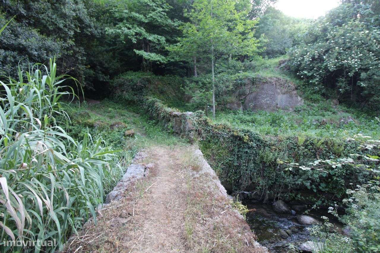 Moinho Junto a Ribeira – Grande Potencial - Grande imagem: 3/14