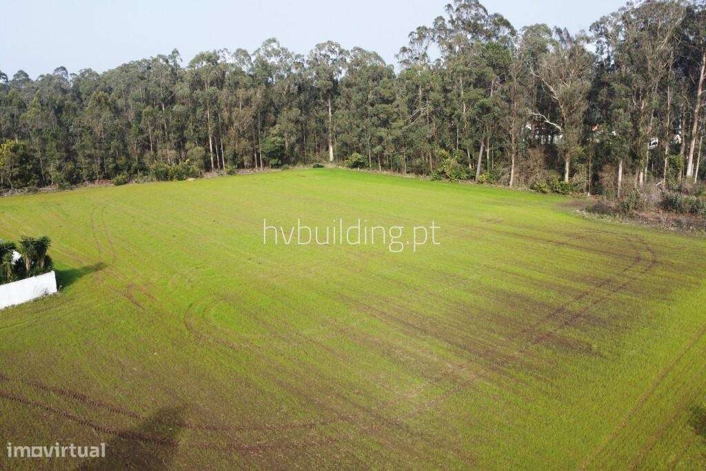 Terreno para construção em Gemeses, Esposende-0