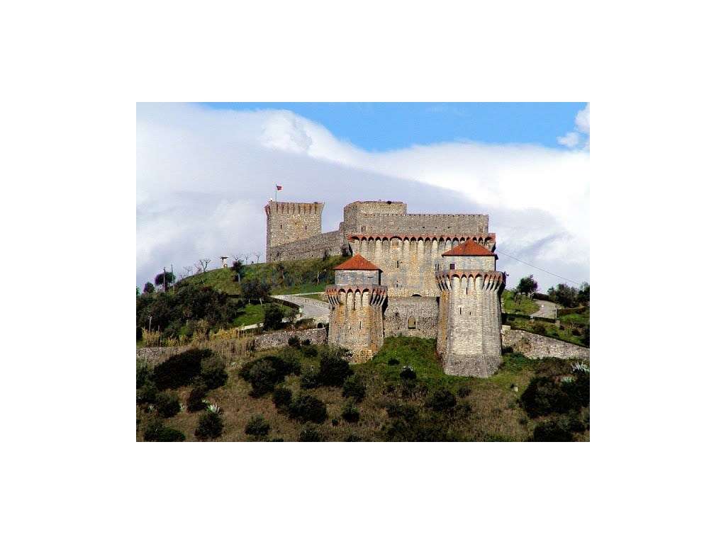 Terreno de 1505m2 urbanizável em Ortiga, Fátima com vista Castelo O...-18