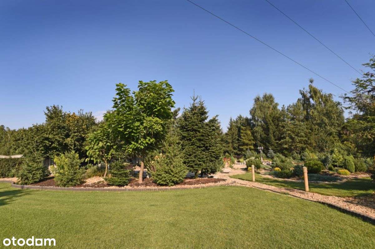 LUKSUSOWY / WYJĄTKOWY / PIĘKNY-18