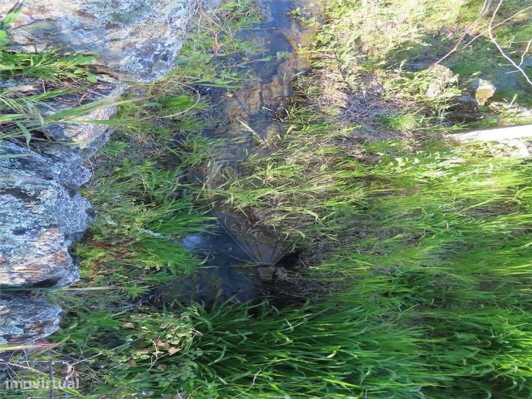 Quinta  para venda - Grande imagem: 3/50