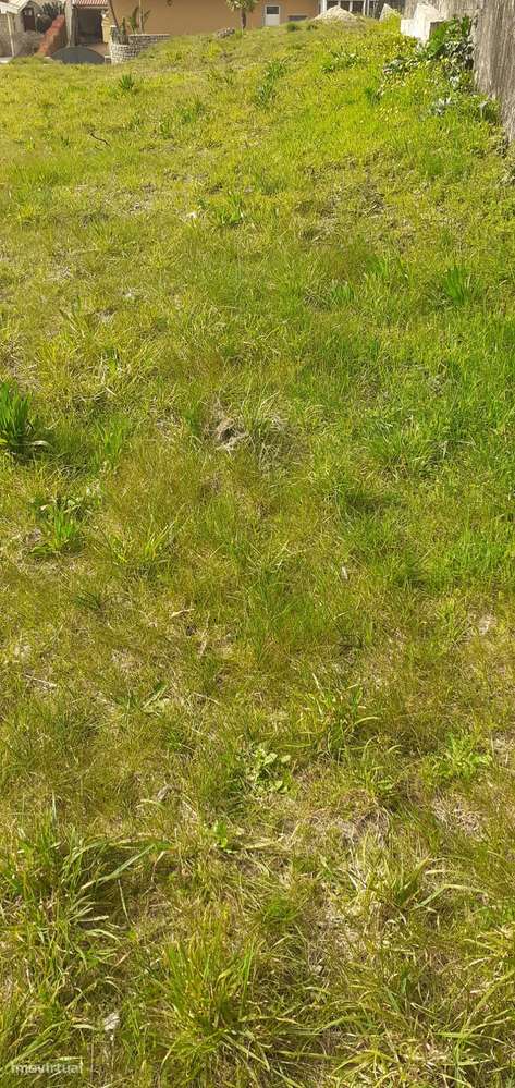 Terreno urbanizável em Sanguedo, Santa Maria da feira-12