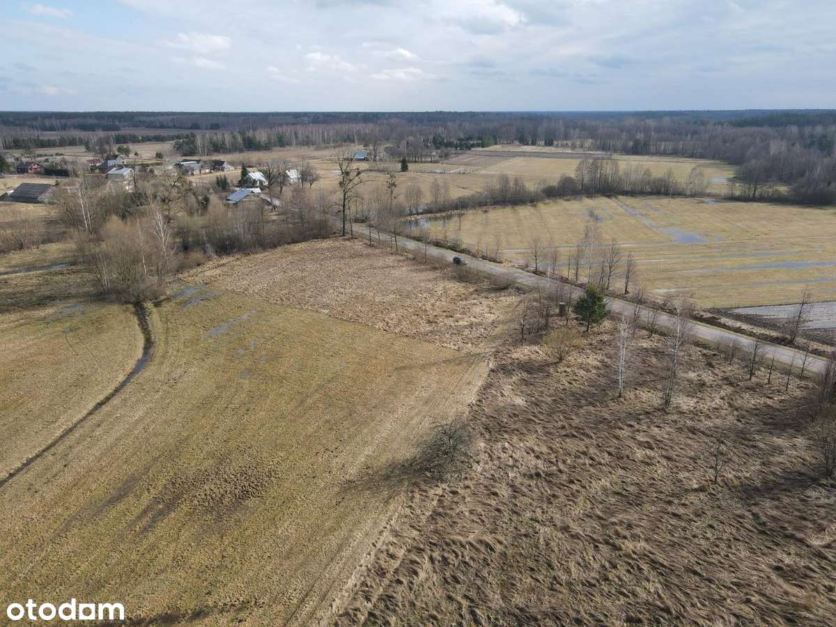 Miklaszewo 3395 m2 -WZ- Puszcza Białowieska, J. Siemianówka! - Pełny obrazek: 4/18