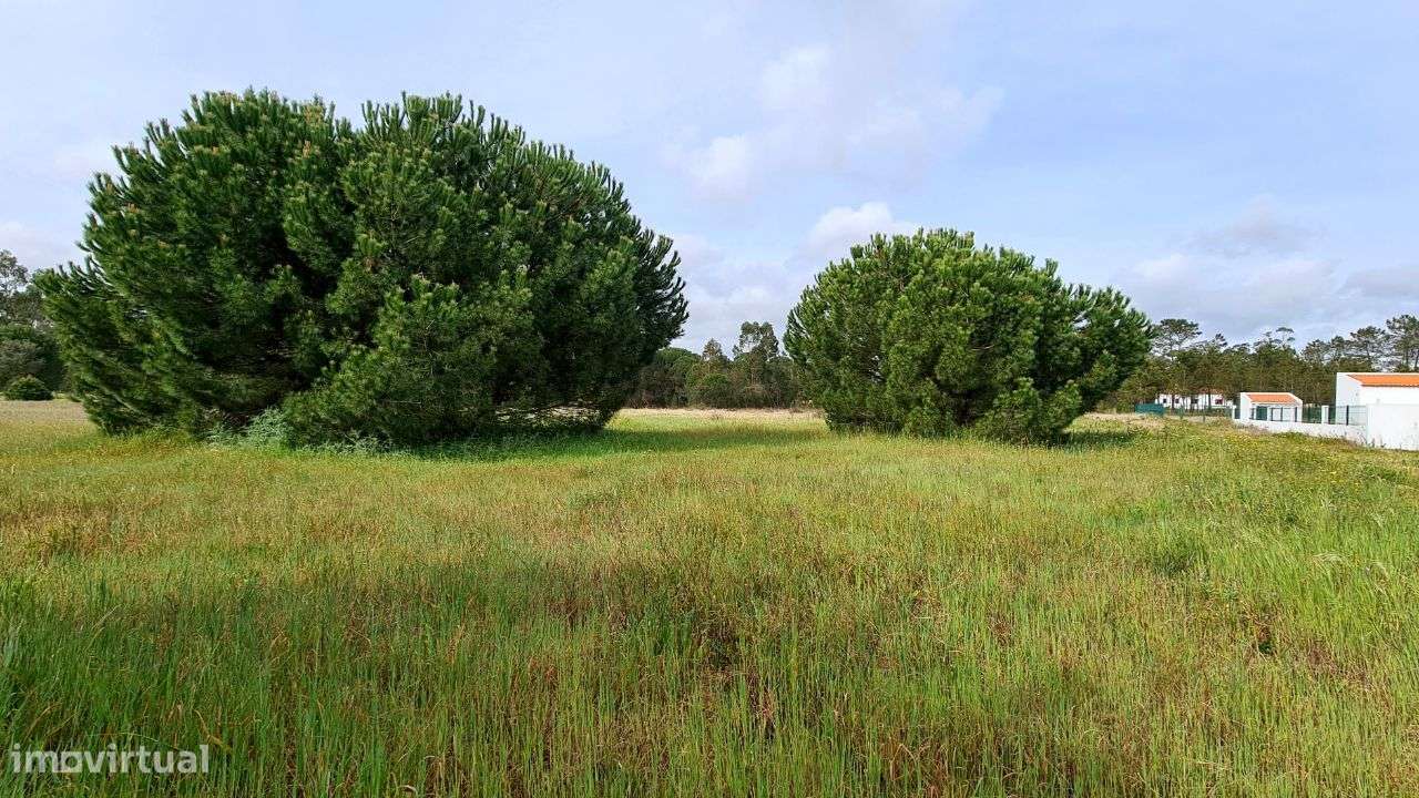 Lote de terreno rústico em Santarém-6