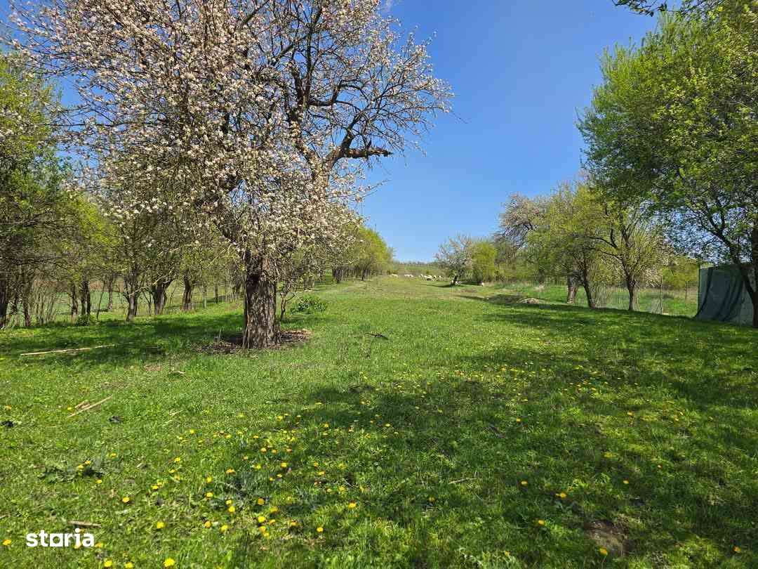 Casă cu teren generos | vânzare sau schimb - Imagine principală: 2/5