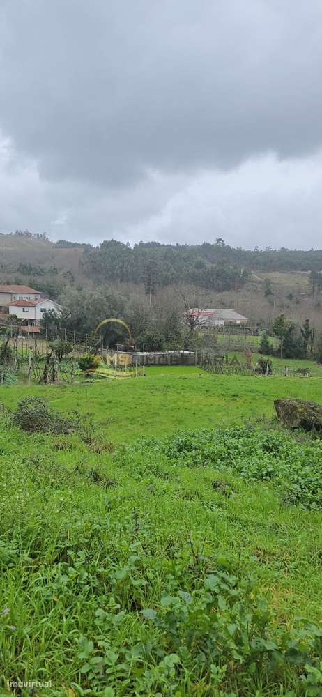 TERRENO PARA VENDA-16