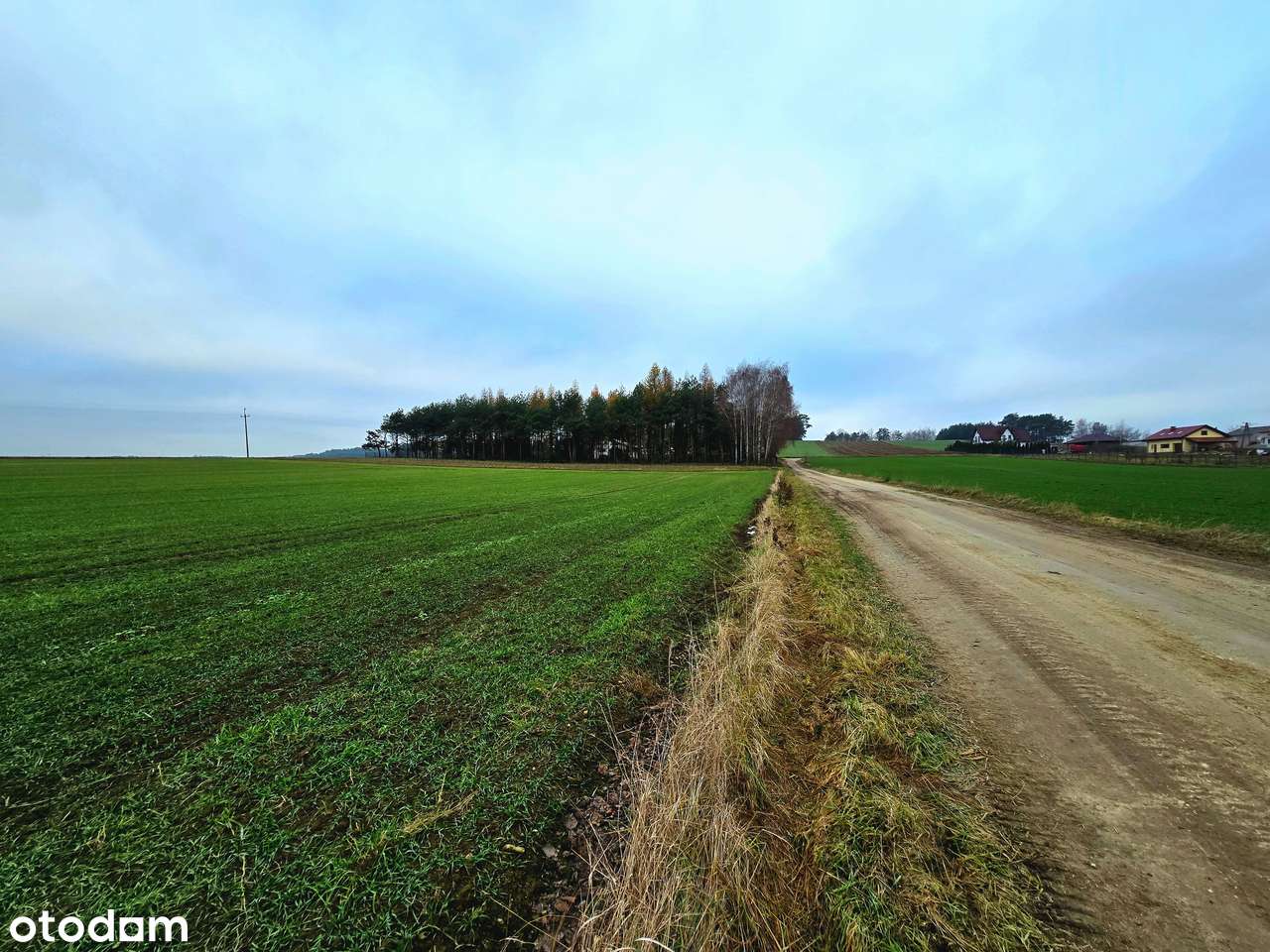 Kompleks działek | 1150 m2/1650 m2 | 5 min. od Rawy Mazowieckiej NIWNA-17