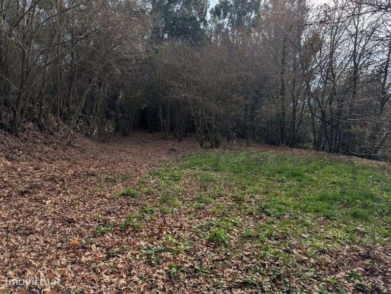 Terreno em Sande - Grande imagem: 4/8