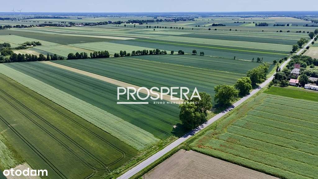 Działka rolna z zabudową siedliskową! - Pełny obrazek: 4/7