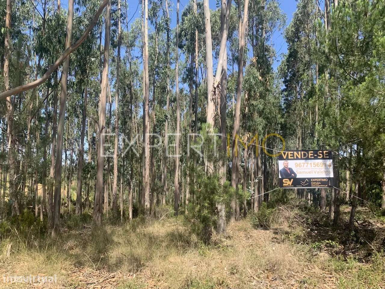 Terreno Industrial Leiria/Barosa - Grande imagem: 4/4