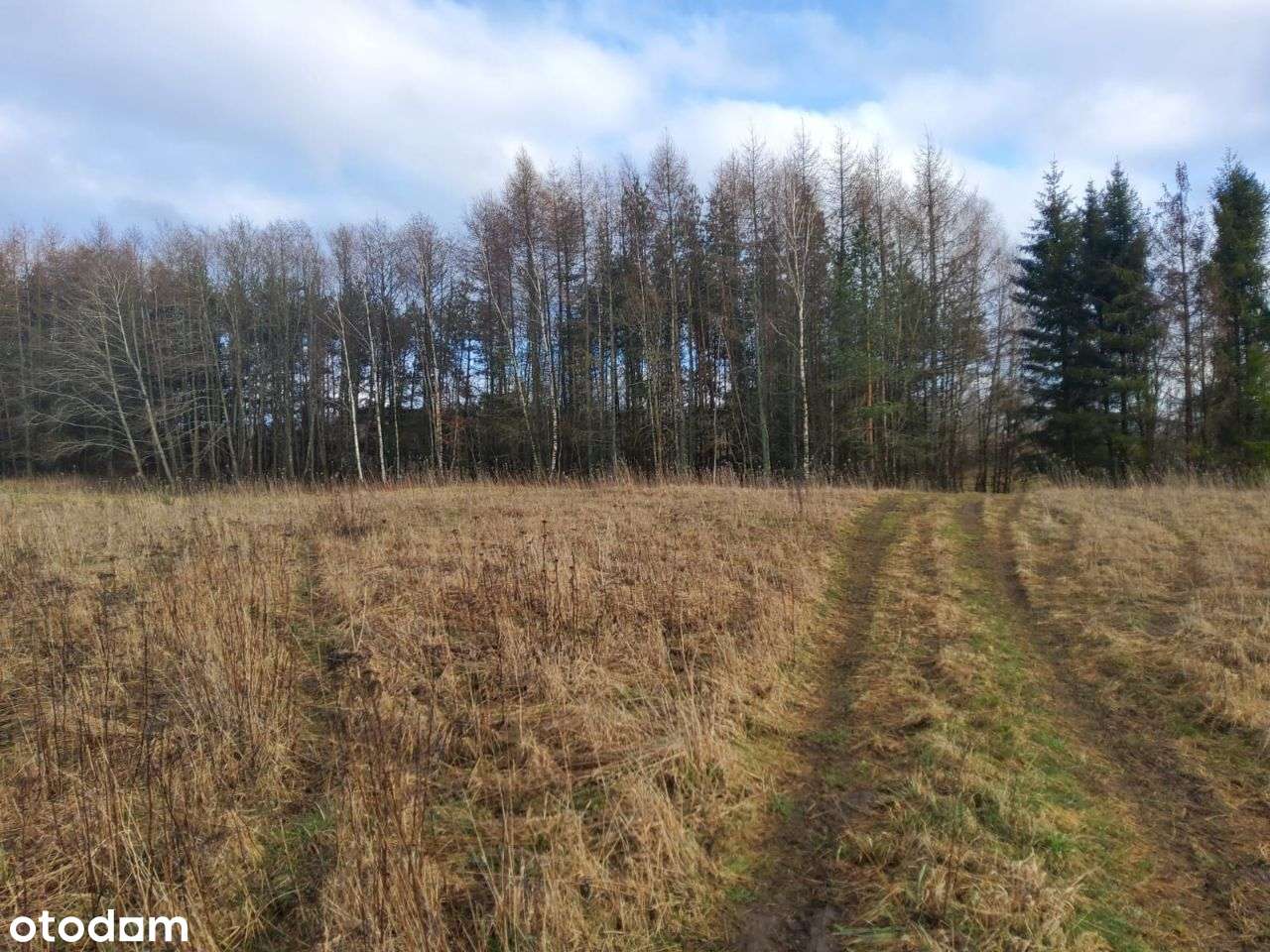 Działki rolne , pod rekreację - Pełny obrazek: 4/17