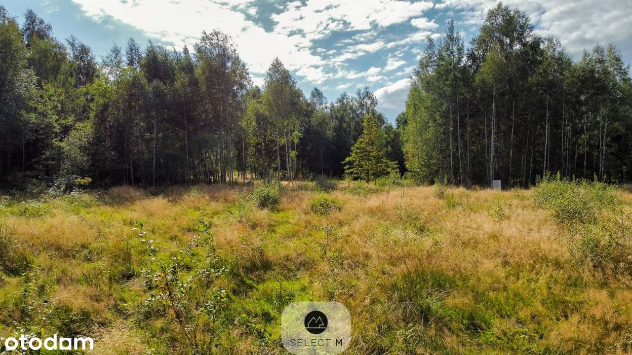 Urokliwa działka z przyłączem energetycznym - Pełny obrazek: 5/8