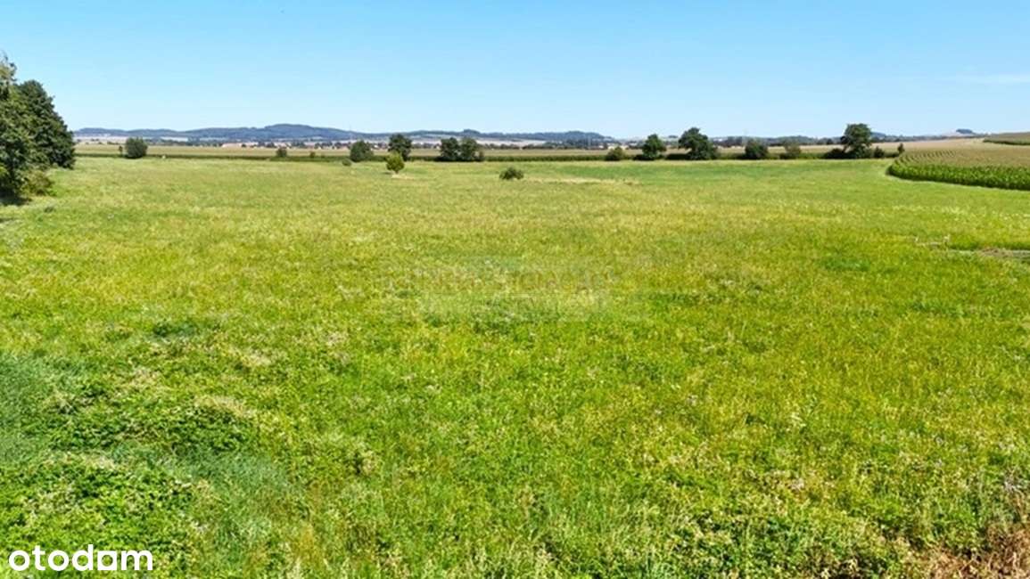 Działka budowlana w Bielawie!-7